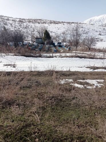 Продажа домов: Дом, 60 м², 4 комнаты, Собственник, Косметический ремонт — 14