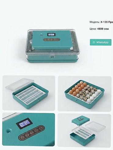 g box: Инкубатор X-25 - Компактный настольный инкубатор с прозрачной крышкой — 1