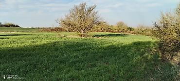 Torpaq sahələrinin satışı: Tikinti, Mülkiyyətçi — 11