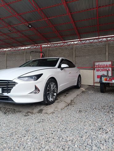 лобовое стекло на степ: Hyundai Sonata: 2019 г., 2 л, Автомат, Газ, Седан