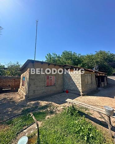 кел кел: 🏠Продается времянка в с. Беловодское Верхняя зона, от трассы - 1.5 км — 2