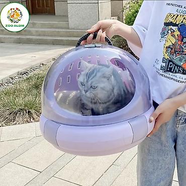 it elanları: ÇoxFunksiyalı pişik daşıma konteyneri. * Daşıma konteyniri — 3
