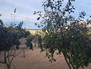 Həyət evləri və villaların satışı: Şüvəlan qəs. 4 otaqlı, 145 kv. m, Yeni təmirli — 20