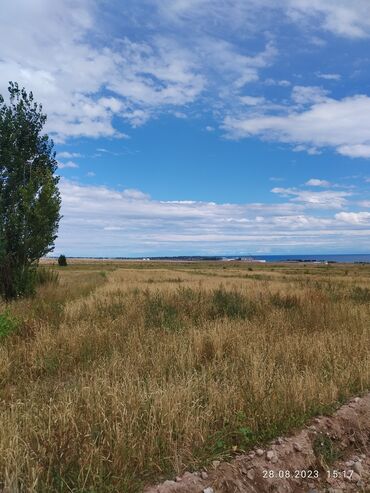 Продажа участков: 66 соток, Для сельского хозяйства, Тех паспорт, Договор купли-продажи, Генеральная доверенность — 4