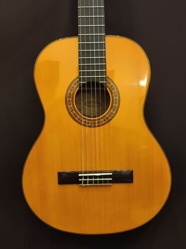 klassik qadın köynəkləri: Klassik gitara Model:Washburn C-40 Üst: Şam ağacı Qol: Mahaqon