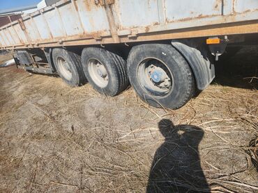 Тягачи: Тягач, DAF, 2000 г., Шторный — 4