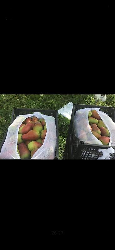 Ящики: Ящик, Новый — 14