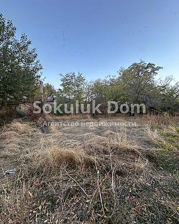 nice house: 3 комнаты, 100 м², 10 соток, Сокулук — 4