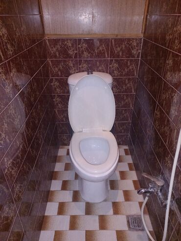 Bitkilər: Hamam üçün aksessuarlar