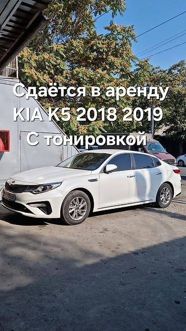 pirelli p zero: Сдаю Kia K5, Долгосрочно, Без водителя, | Залог — 1