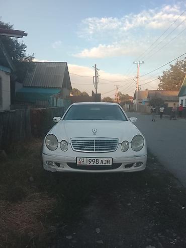 лимузина: Mercedes-Benz E‑Class (W211) лимузин, белый. - Длиннобазная версия с — 2
