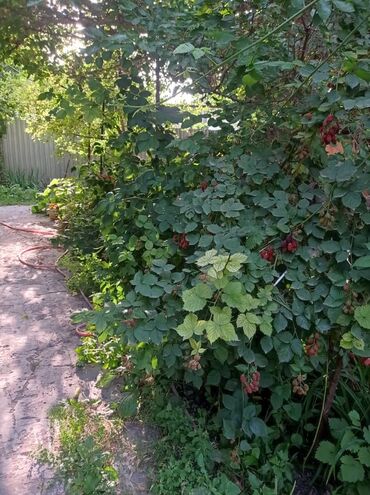 Продажа домов: Дом, 81 м², 4 комнаты, Собственник, Старый ремонт — 6