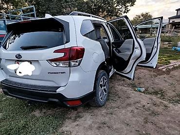 домик авто: Subaru Forester: 2019 г., 2.5 л, Автомат, Бензин, Кроссовер — 2