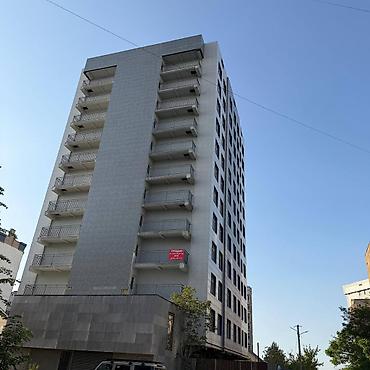 2025: 1 комната, 55 м², 5 этаж — 3