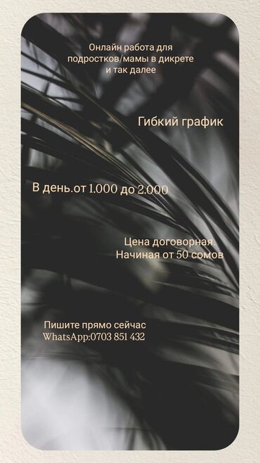 Другие специальности: Онлайн работа для любого цена: договорная(начиная с 50 сом)