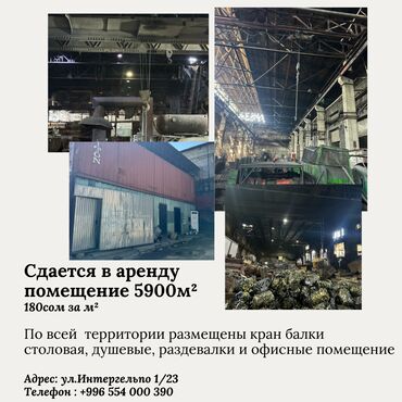 жумуш завод: Сдается в аренду помещение 5900кв.м. По всей территории размещены