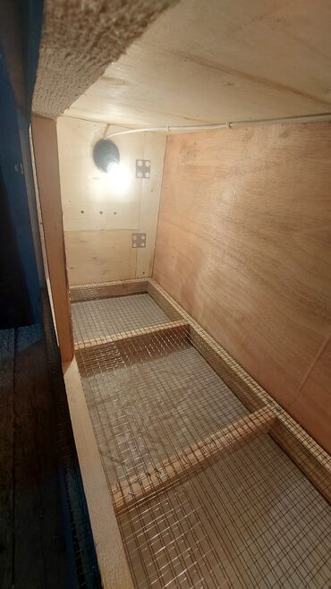 Товары и оборудование для с/х животных: Универсальный Брудер, ясли для цыплят. сураныч, бар же жок экенсин — 3