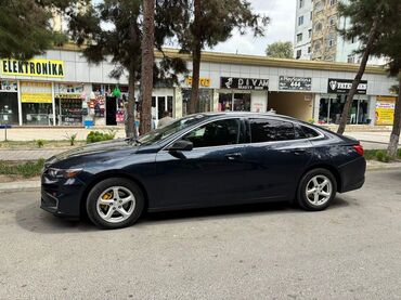lider diskləri: Chevrolet Malibu: 1.5 l | 2018 il 340000 km Sedan