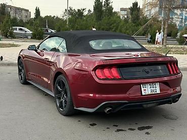 Ford: Ford Mustang: 2018 г., 2.3 л, Автомат, Бензин, Кабриолет — 8