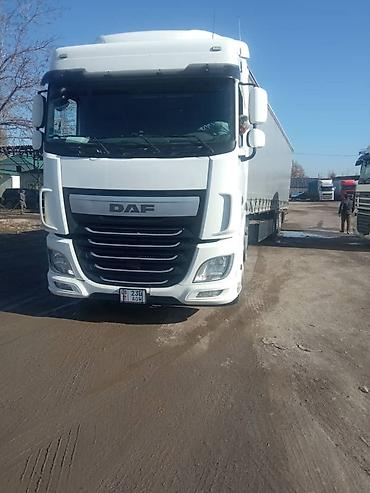хово 310: Тягач, DAF, 2014 г., Без прицепа — 3