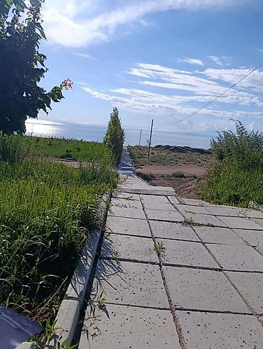 секс в иссык куле: 🏡 Пансионат «Руха» приглашает на отдых! Сдаются уютные комнаты и — 10