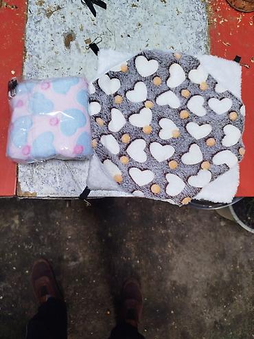 Крысы: Продам маленьких крысят Дамбо декоративные рексы ручные домашние. Есть — 11