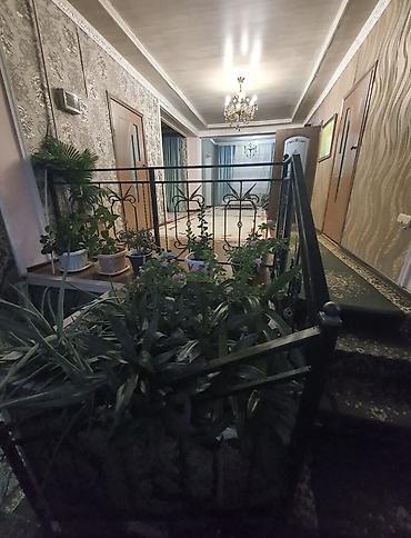 Долгосрочная аренда домов: 340 м², 7 комнат — 11