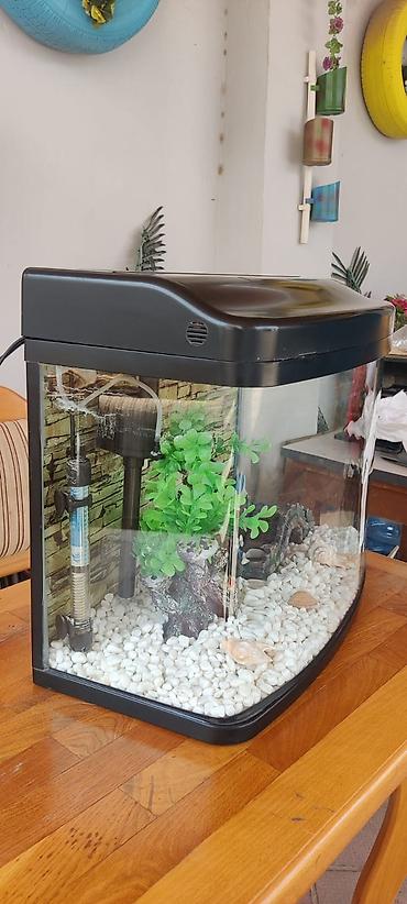 akvarium az: Boş, 60 l, Ünvandan götürmə — 4