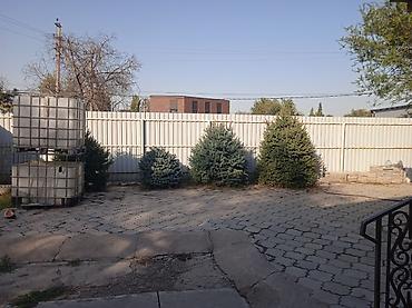 Продажа коттеджей и домов: Продаётся дом ДЛЯ Бизнеса 9сот можно расширить до 11 сот можно — 6