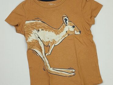 koszulki animal: T-shirt, Little kids, 5-6 years, 110-116 cm, condition - Good