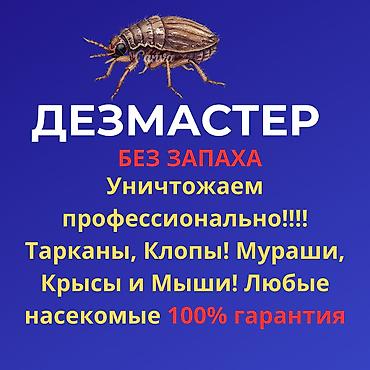 осы: Дезинфекциялоо, дезинсекциялоо, | Канталалар, Бүргөлөр, Таракандар, | Унаа, Офистер, Батирлер — 1