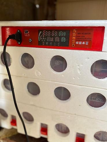 Avtoelektronika: 2 ayın aparatıdı 3 mərtəbədi tutum 196 dənəli hec bir pırablemi yoxdu — 1