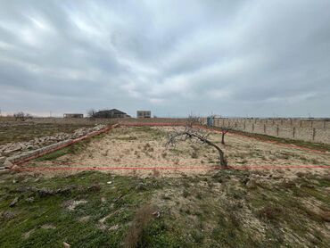 Torpaq sahələrinin satışı: 7 sot, Tikinti, Kupça (Çıxarış)