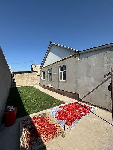 фудболный поле: Продаётся частный дом с большим двором и хозяйственными постройками — 1
