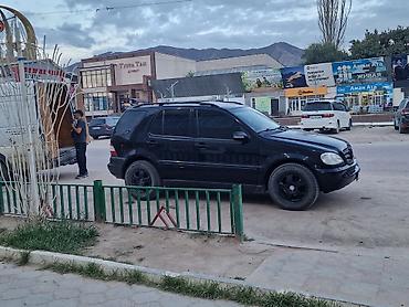 мерс mers: Mercedes-Benz ML-Class: 2002 г., 3.2 л, Автомат, Бензин, Внедорожник — 2