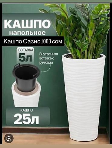 Горшки для растений: Горшки белые круглые цены написаны .адрес село Кок жар, Сейтек 7 — 6