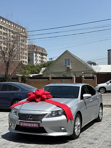 буклеты бишкек: Большие подарочные банты для автомобилей - Эффектные банты для — 3
