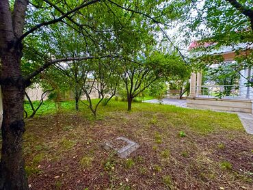 Günlük kirayə evlər: 250 kv. m, 6 otaqlı, Kanalizasiya, Kombi, Qaz -da lalafo.az — 29 Günlük kirayə evlər: 250 kv. m, 6 otaqlı, Kanalizasiya, Kombi, Qaz — 29