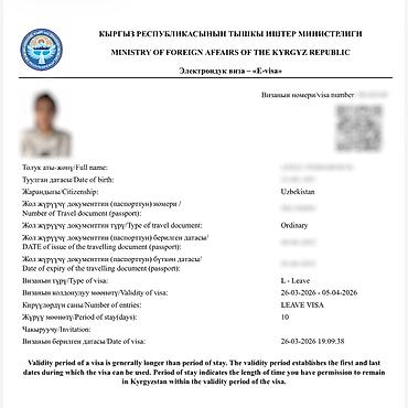 visa: Визы в Кыргызстан, США, Японию и Шенген. Помогаю с оформлением виз в — 5