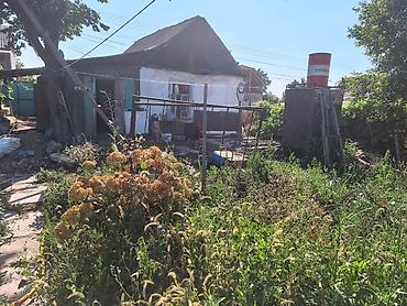 район вефы: 6 соток, Для сельского хозяйства, Договор купли-продажи, Красная книга, Тех паспорт — 5