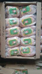 попугай ара цена: Quba toyuğu öz seximiz öz istehsalımızdı hər gün kəsim olunur yüksək