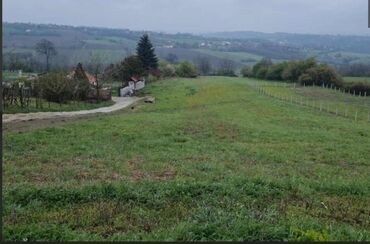 prodaja kuca batajnica: Građevinarstvo, Vlasnik