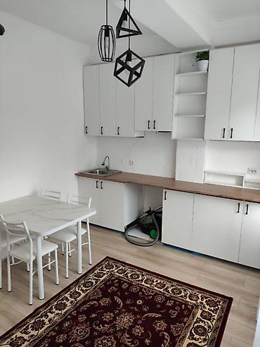 квартиры васток 5: 2 комнаты, 74 м², Индивидуалка, 1 этаж, Евроремонт — 4