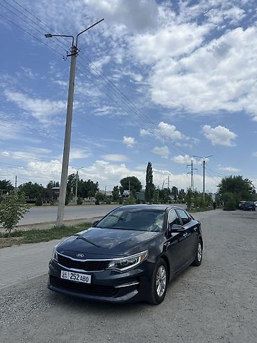 spark 2017: Kia Optima: 2017 г., 2.4 л, Автомат, Бензин — 10