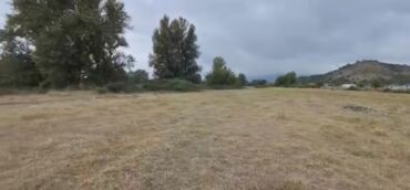 приют для животных в баку адрес: Zaqatalada, Şimşək massivində, avtovağzala və aeroporta yaxın ərazidə