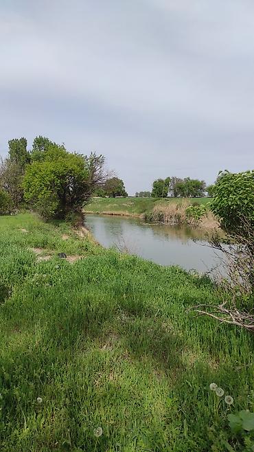 Долгосрочная аренда домов: 50 м², 2 комнаты — 9