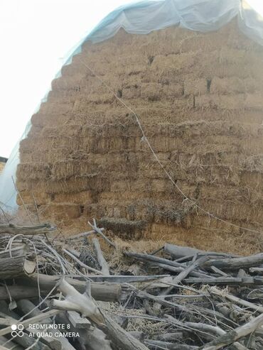 Корма для с/х животных: Сено в тюках - Прессованные прямоугольные тюки, перевязанные — 11