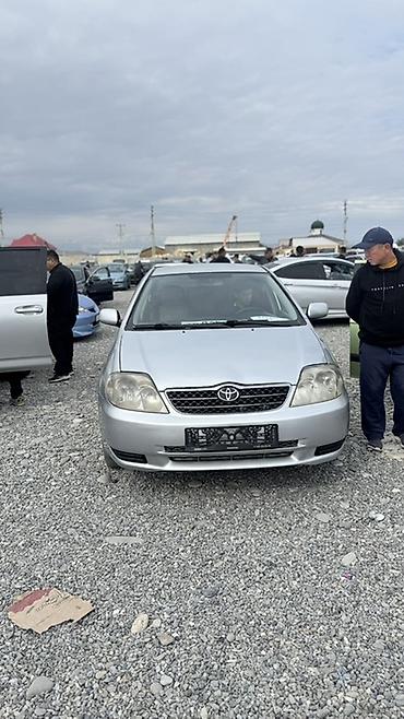 Toyota: Toyota Corolla: 2004 г., 1.6 л, Механика, Бензин, Седан — 4