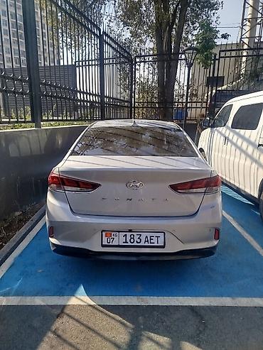 byd yan up: Hyundai Sonata: 2020 г., 2 л, Автомат, Газ, Седан — 1