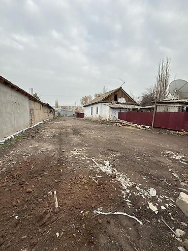 ысык куле: 5 соток, Бизнес үчүн, Кызыл китеп — 8
